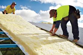 Best Spray Foam Insulation  in Johnson Lane, NV